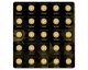 25 g (25 x 1 g) Sheet of Gold Coins